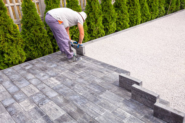 Best Decorative Driveway Pavers  in Rhinelander, WI
